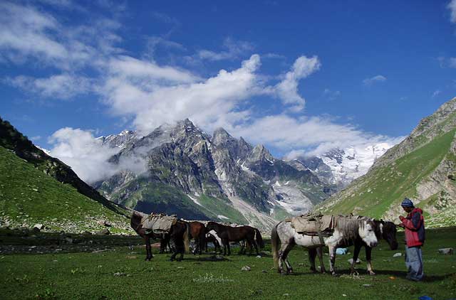 Shepherd Trail Gaddi Trek