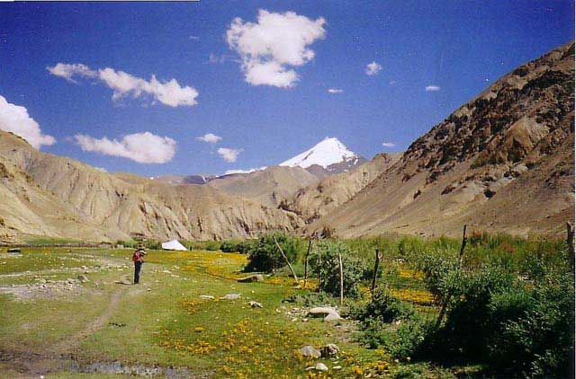 Rupshu Valley Trek