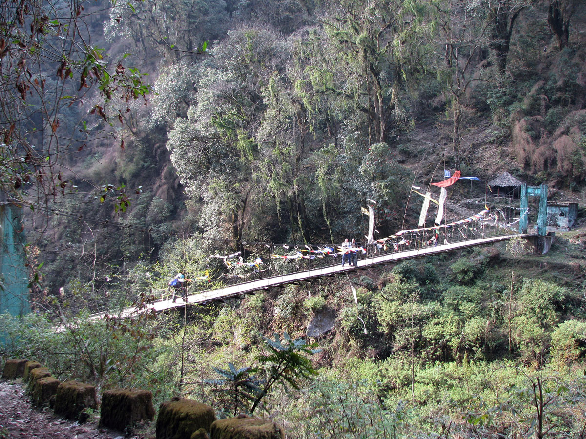 Dzongri Trek