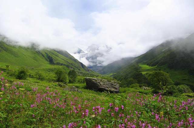 Valley of Flower